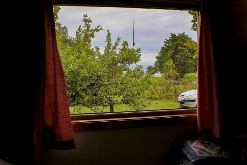 Best Window Replacement Contractors in Camas, WA